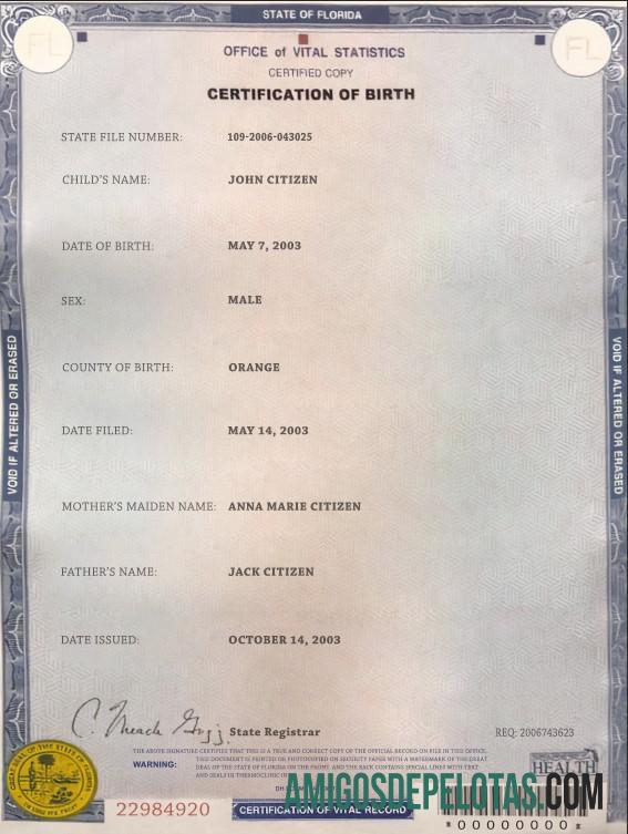 realista Modelo de certidão de nascimento do estado da Flórida nos EUA em formato PSD
