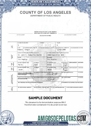 Certificado de Nascido Vivo nos EUA Los Angeles exemplo