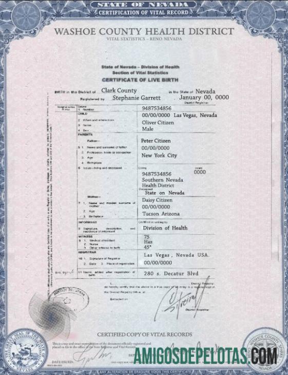 realista Modelo de certidão de nascimento do estado de Nevada dos EUA em formato PSD