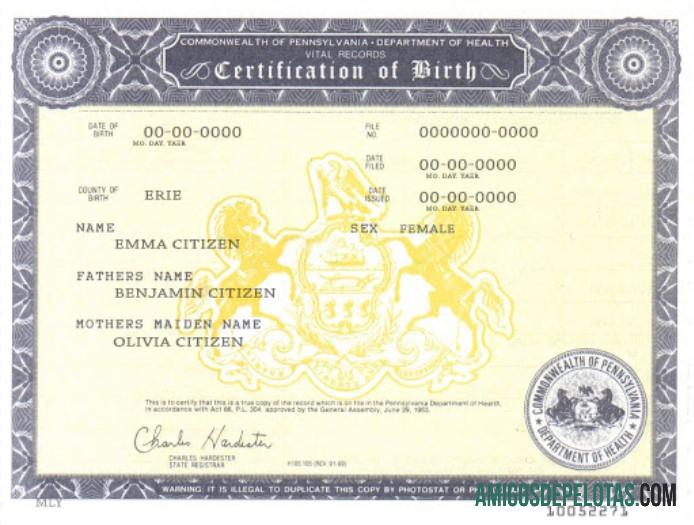 Certidão de Nascimento EUA Pensilvânia exemplo