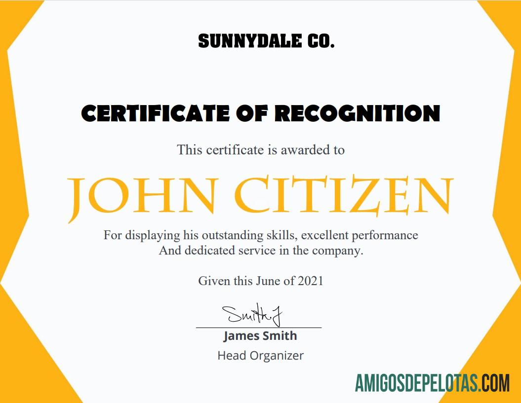 Certificado de Reconhecimento dos EUA exemplo real