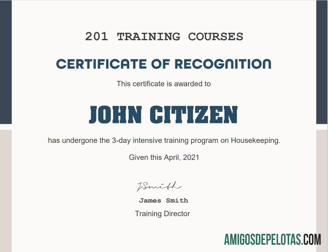 Certificado de curso de treinamento nos EUA amostra