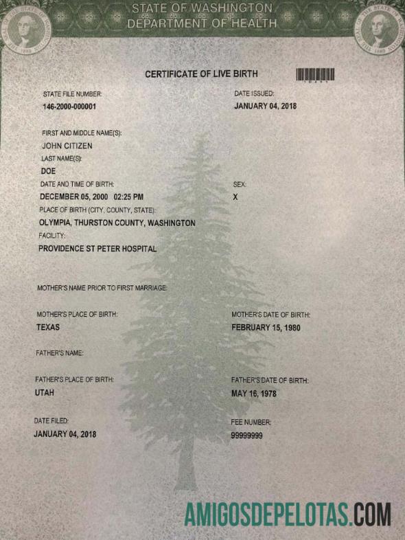 Certidão de nascimento do Hospital St Peter do Departamento de Saúde dos Estados Unidos amostra